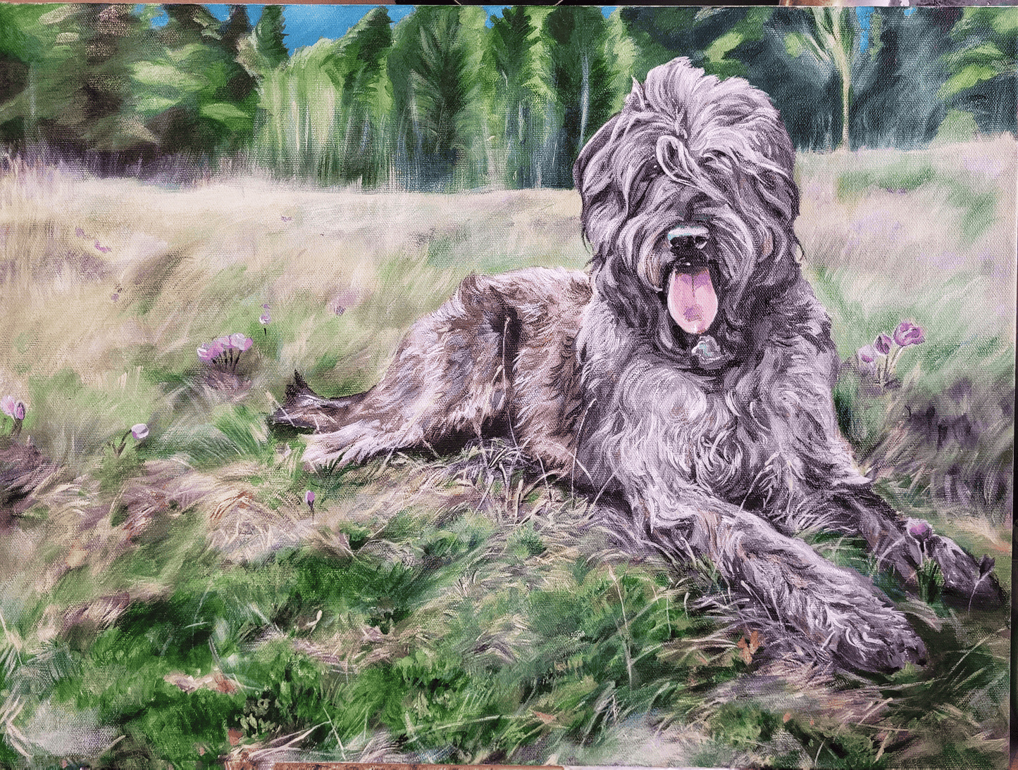 Pet Portrait Single Pet