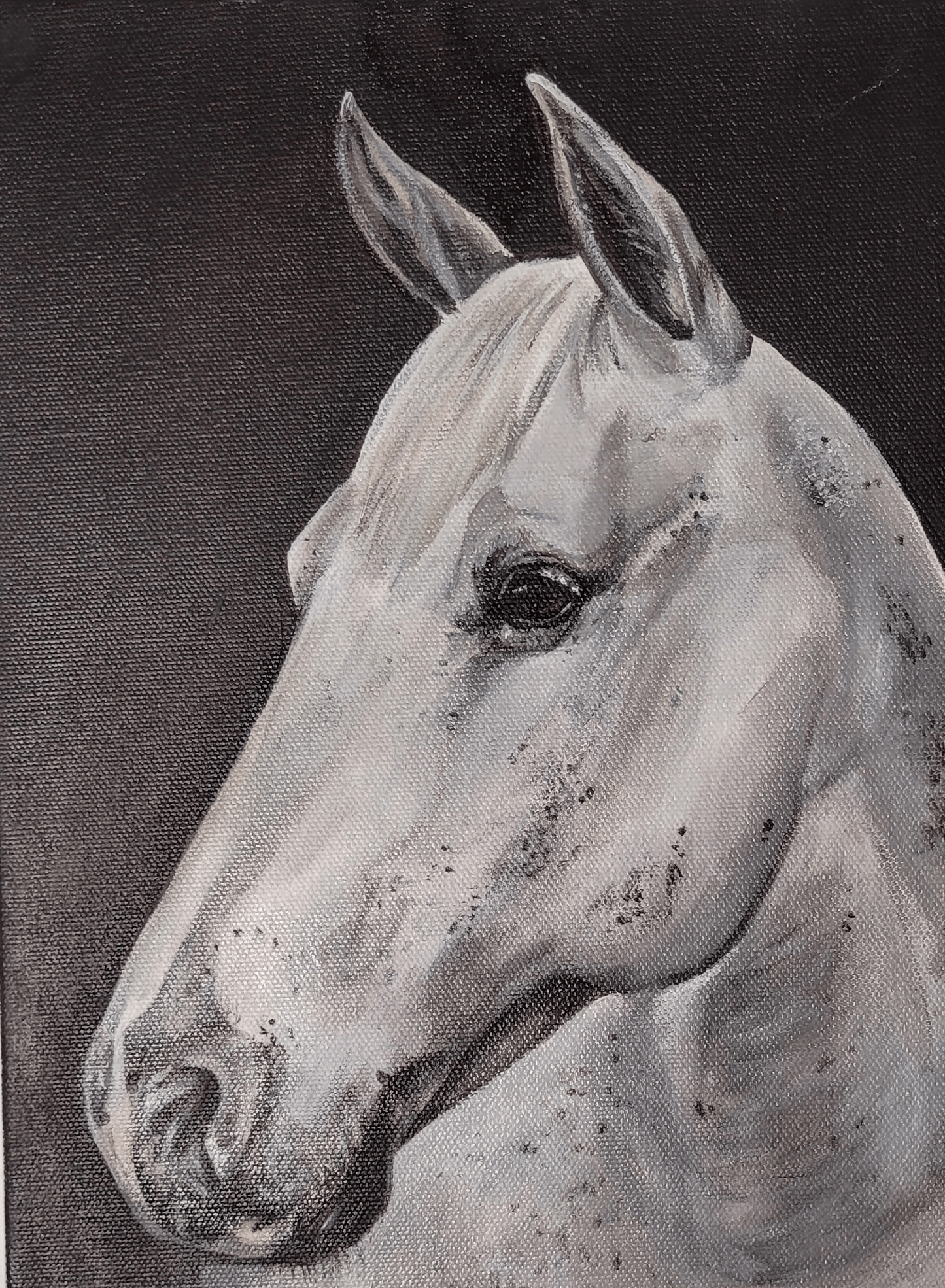 Pet Portrait Single Pet