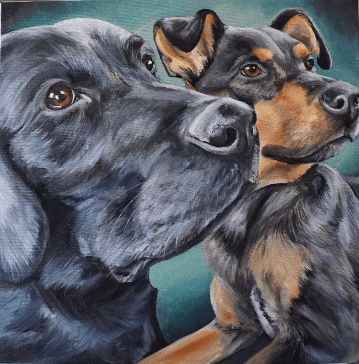2 dogs Teal background portrait