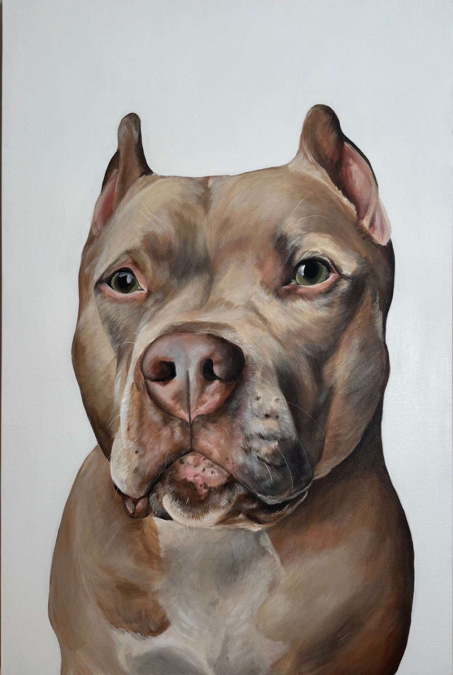 Pet Portrait Single Pet