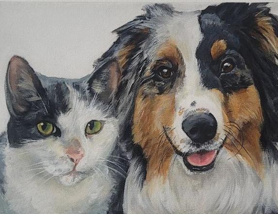 Australian Shepherd