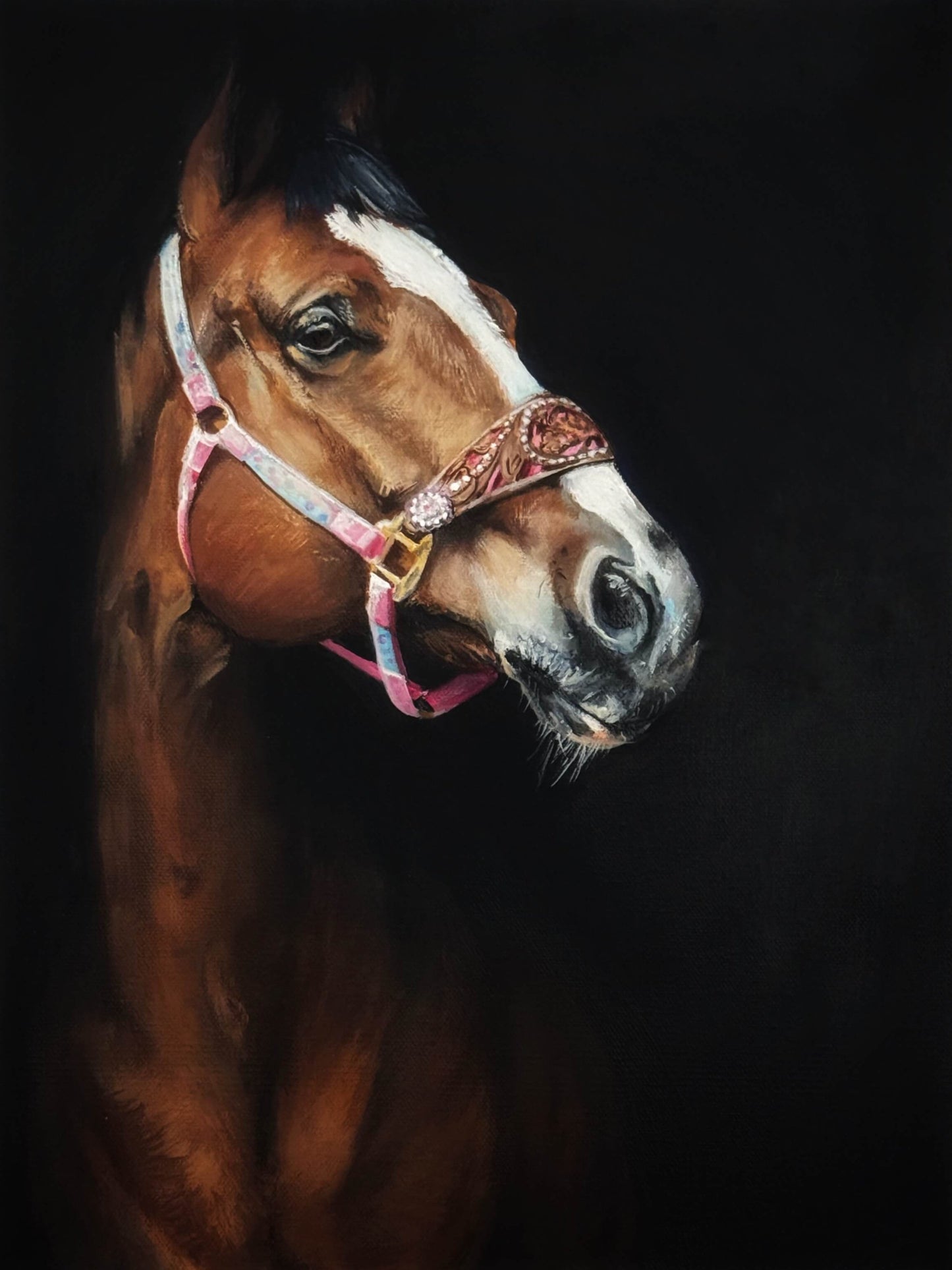Pet Portrait Single Pet
