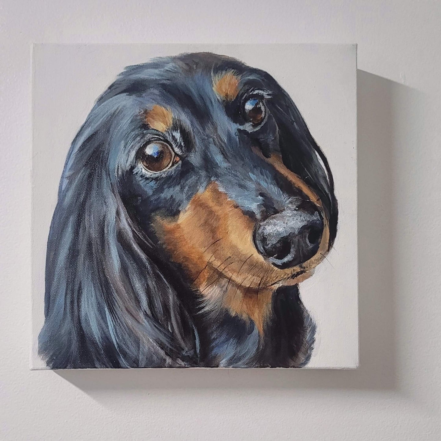 Single Pet Portraits