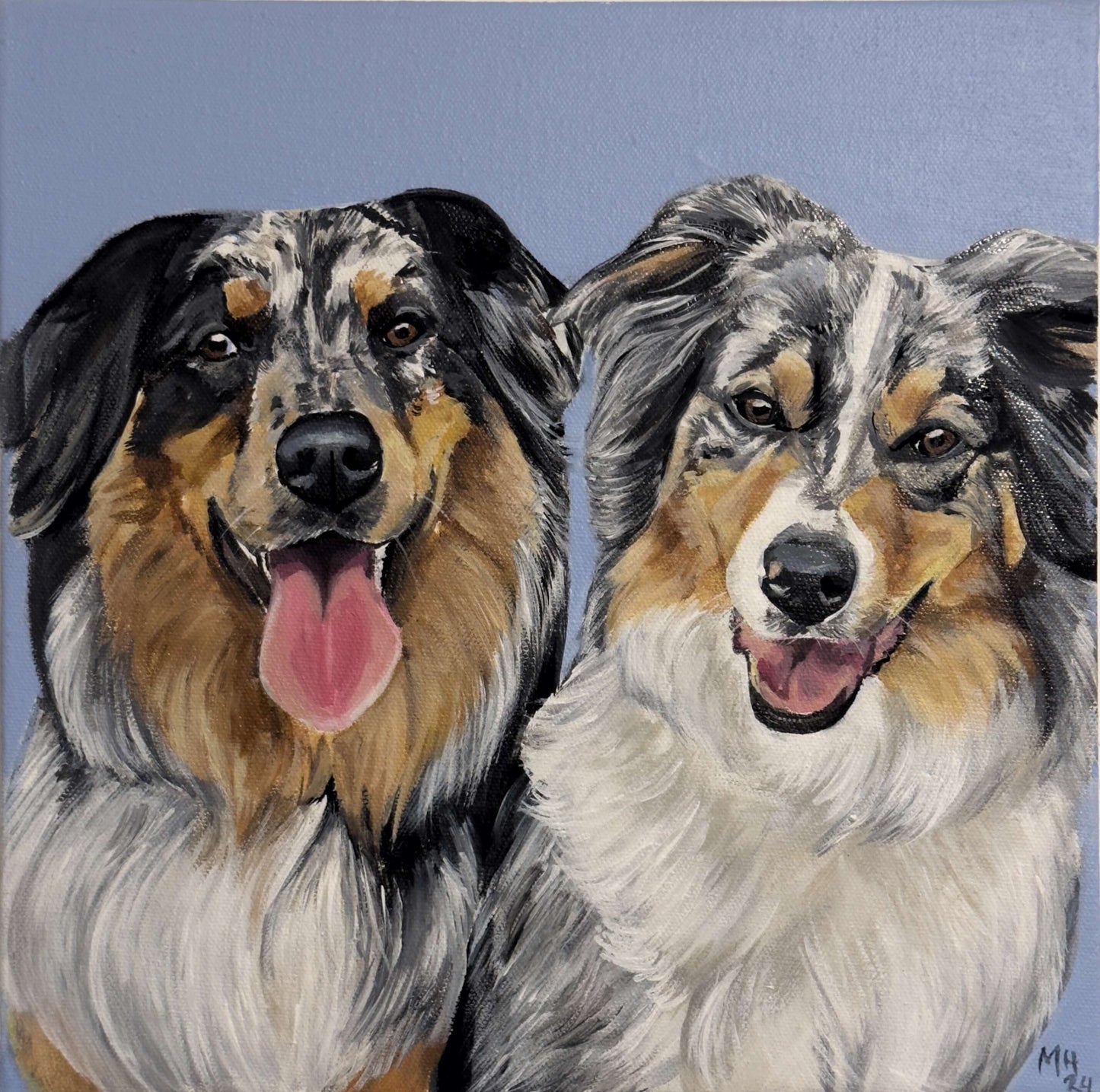 Australian Shepherds