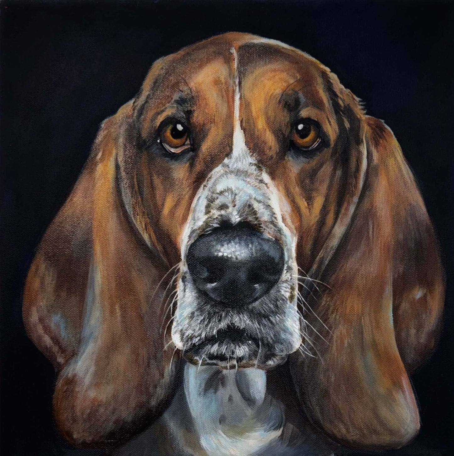 Portrait of a basset hound