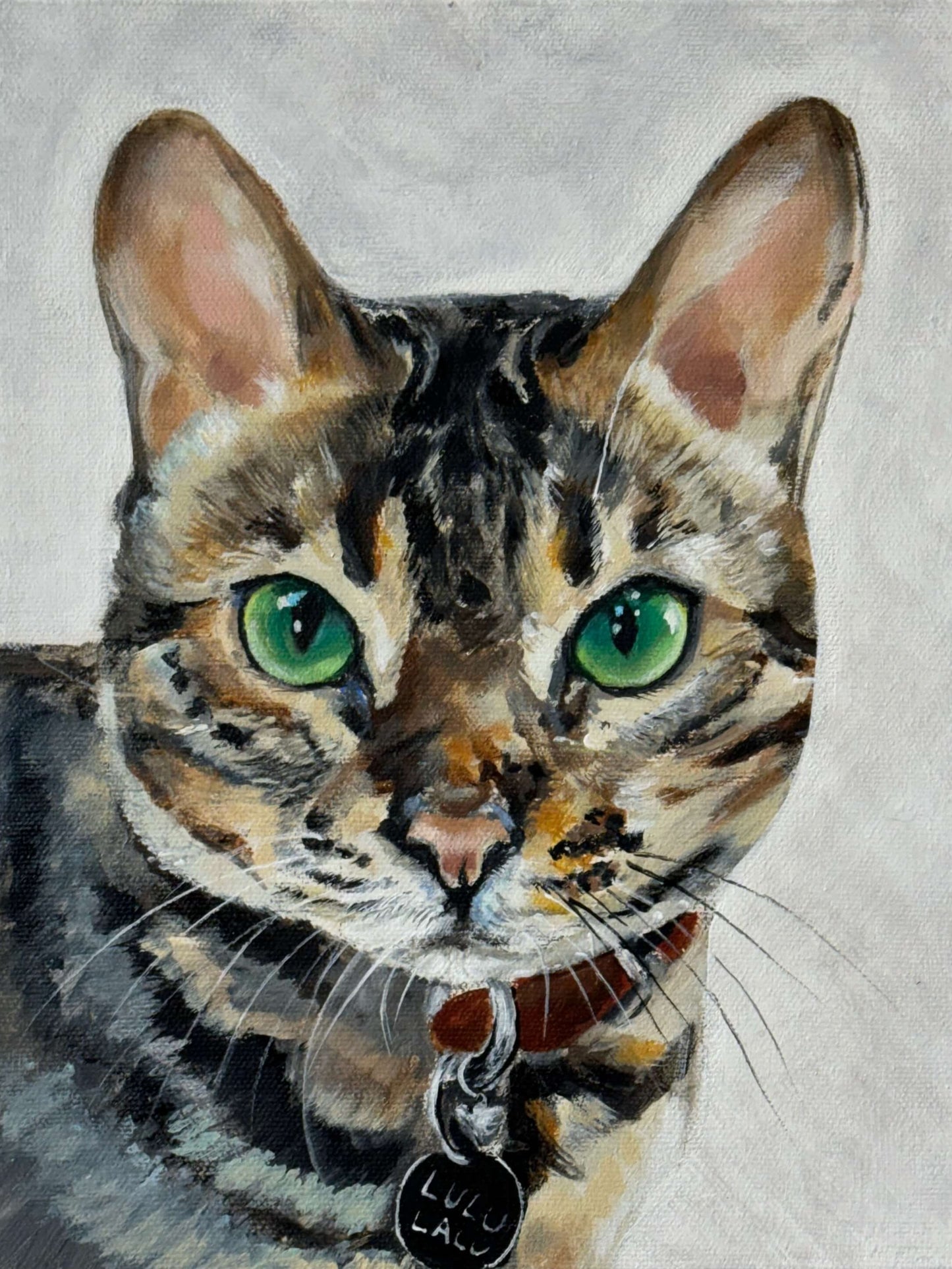 Bengal cat portrait