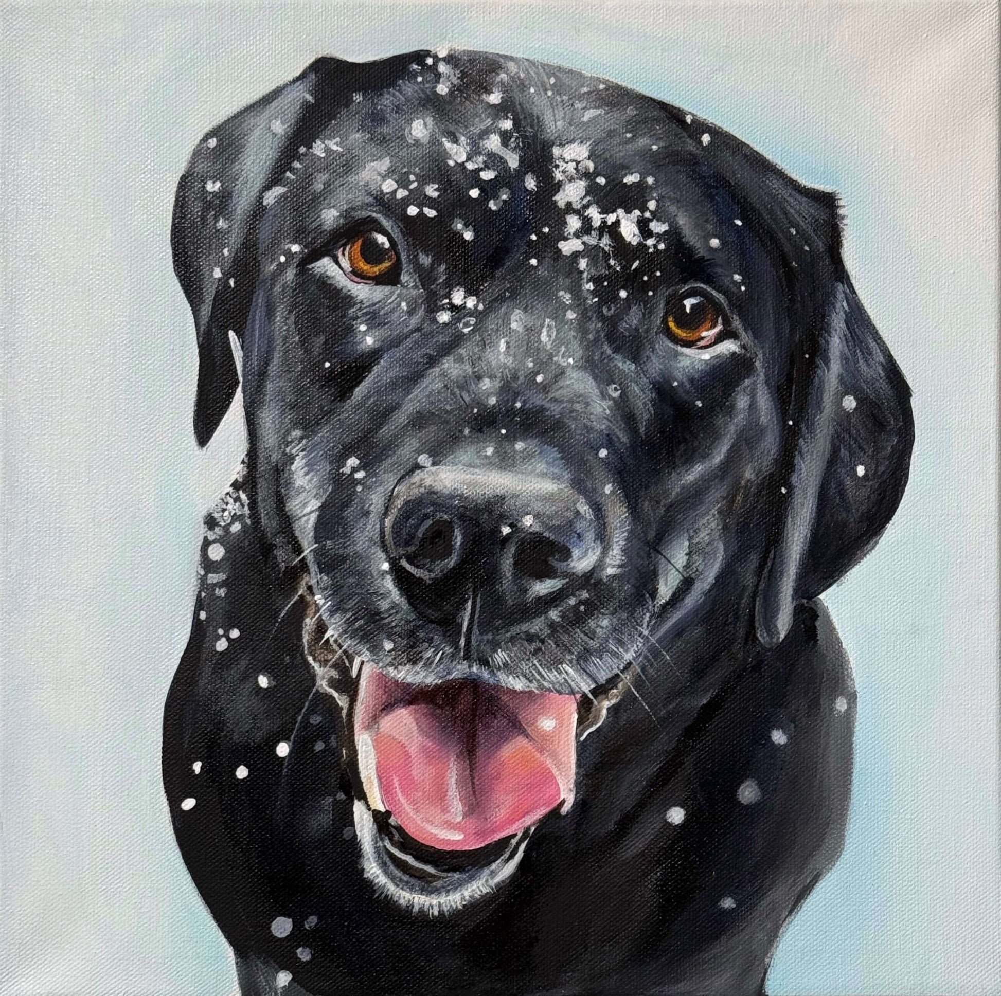 Black lab portrait with snow