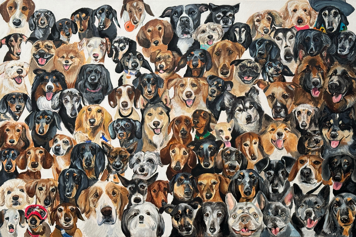 Multiple dog portrait