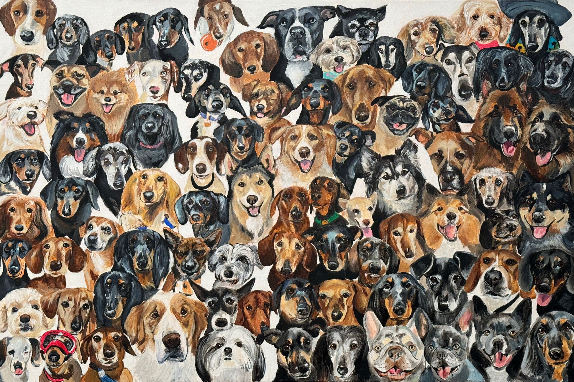 Multiple dog portrait