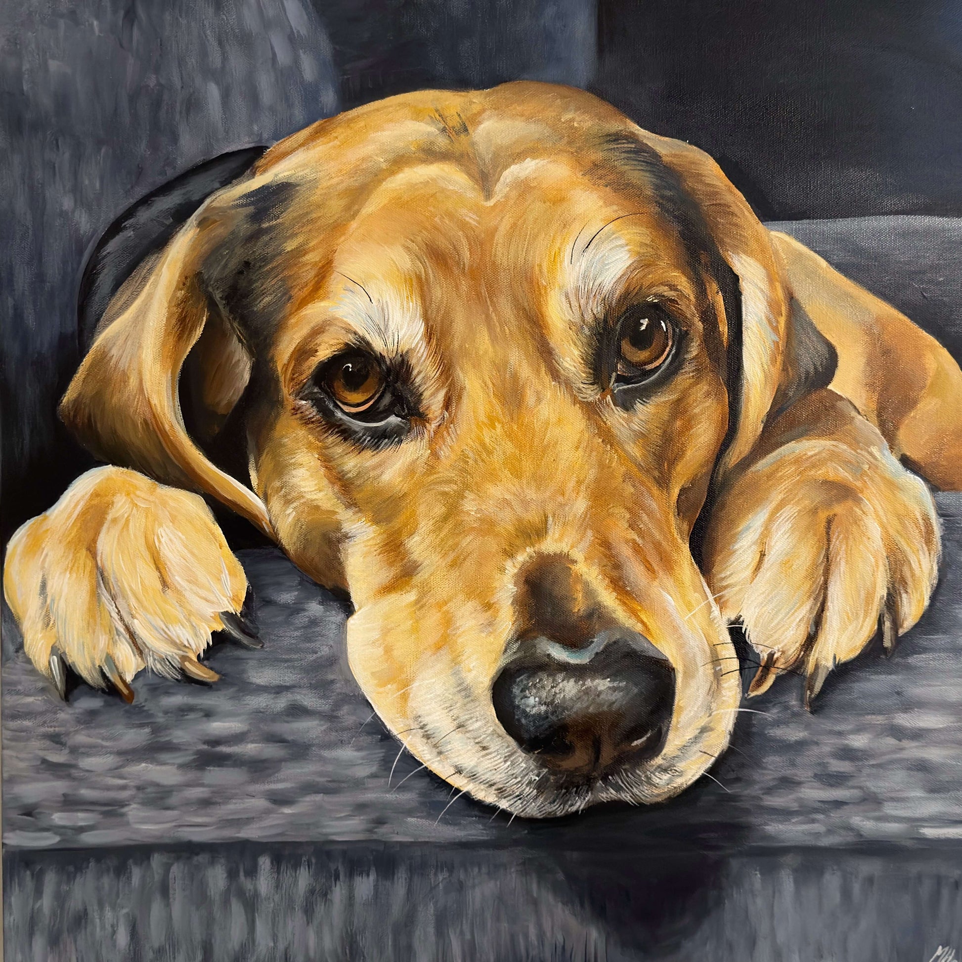 Portrait of a hound dog