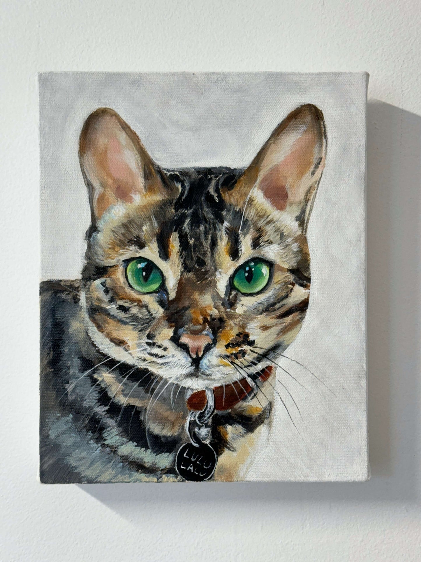 Single Pet Portraits