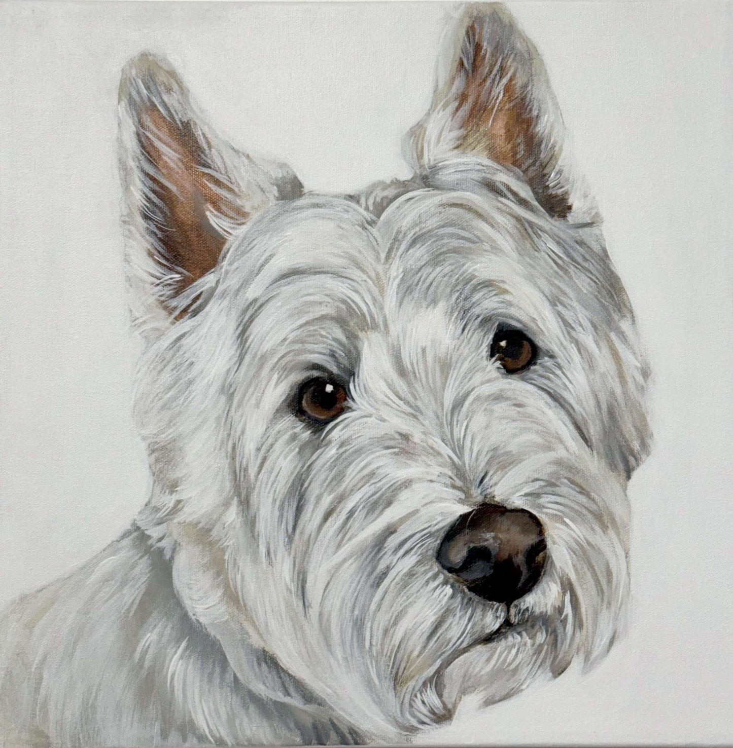 White terrier dog portrait