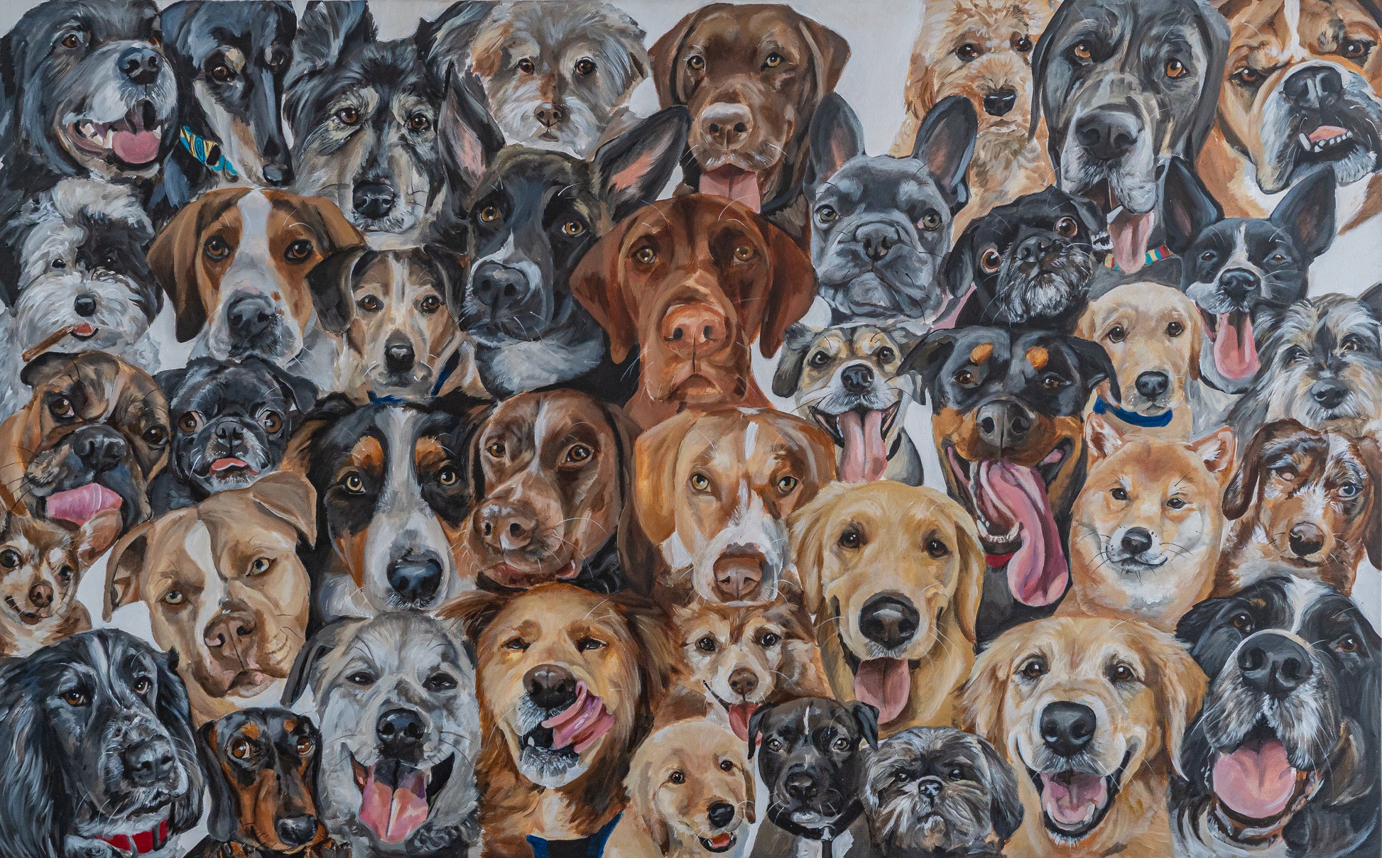 Portrait of 40 dogs 